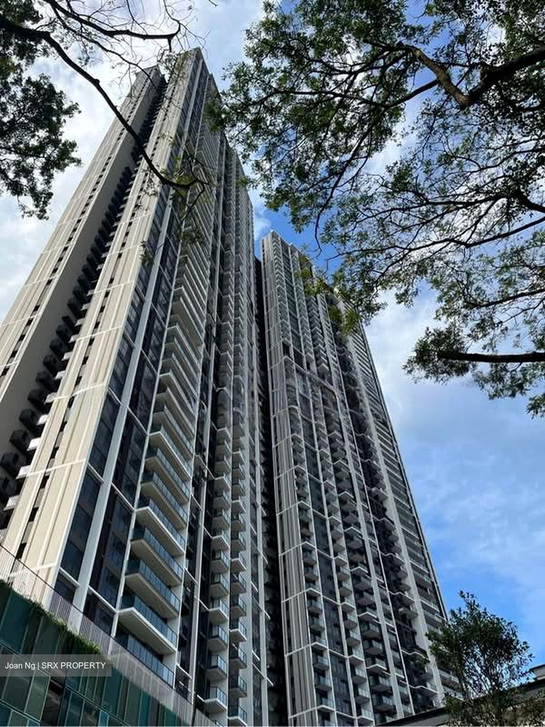 Avenue South Residence (D3), Apartment #554403661